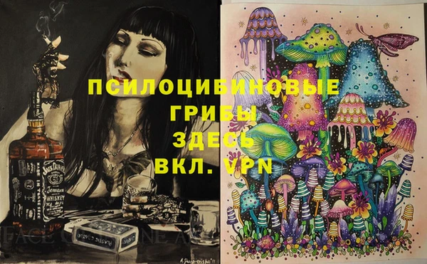 apvp Володарск