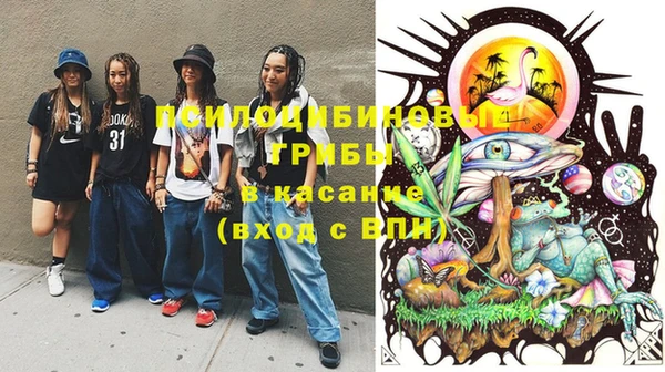 спиды Волосово