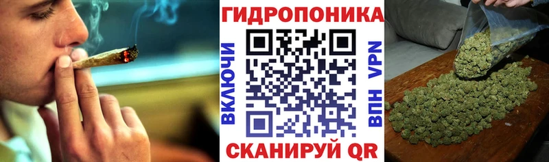 Шишки марихуана марихуана Бердск